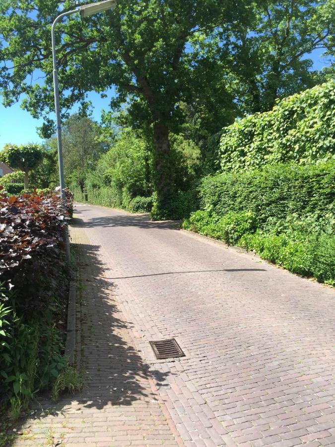 De Vuurdoorn Villa Bergen Dış mekan fotoğraf